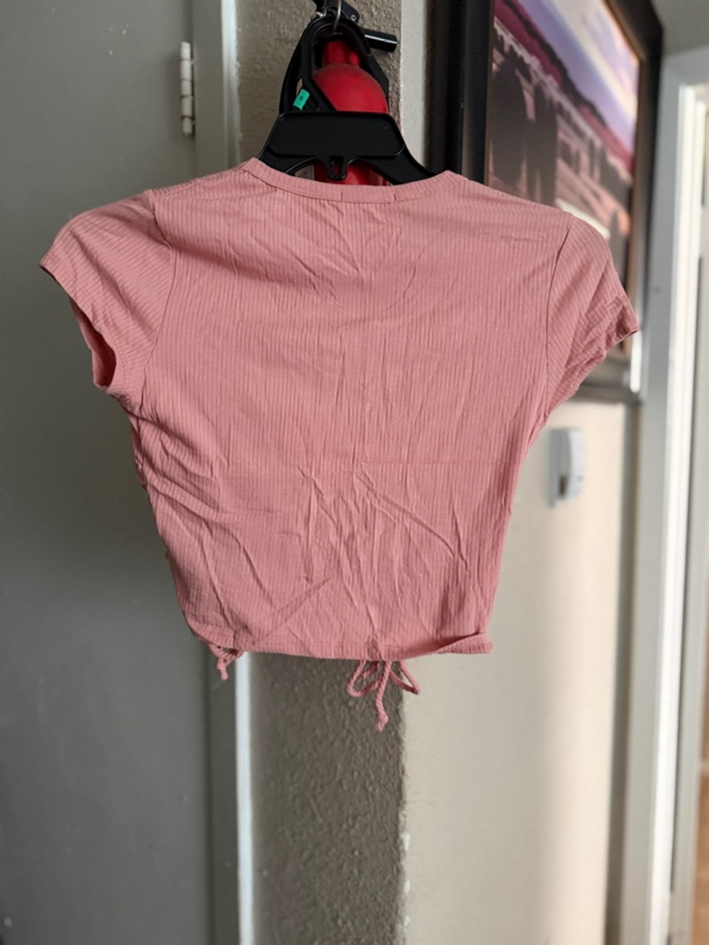 Vici Pink Ribbed Ruched Crop Top - Picture 5 of 5